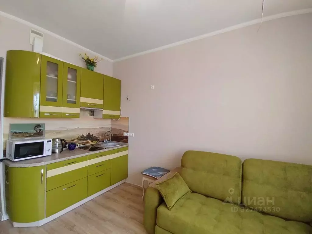 Студия Москва ул. Медовая Долина, 7к1 (24.0 м) - Фото 2