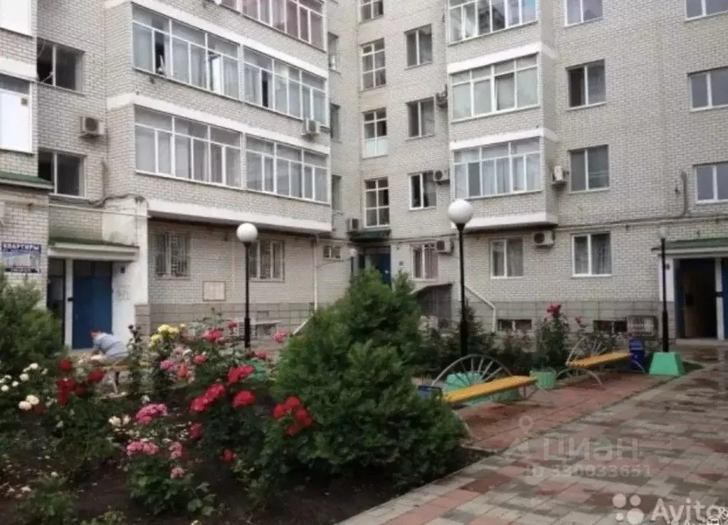 Студия Краснодарский край, Анапа Терская ул., 40 (44.0 м) - Фото 2