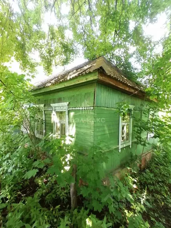 Дом в Брянская область, Выгоничское городское поселение, д. Николаевка ... - Фото 0