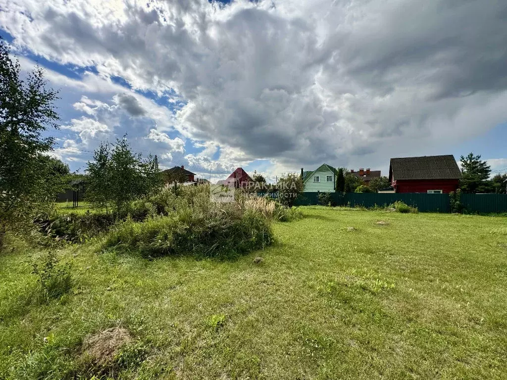 Продается участок в д. Дятловка - Фото 2