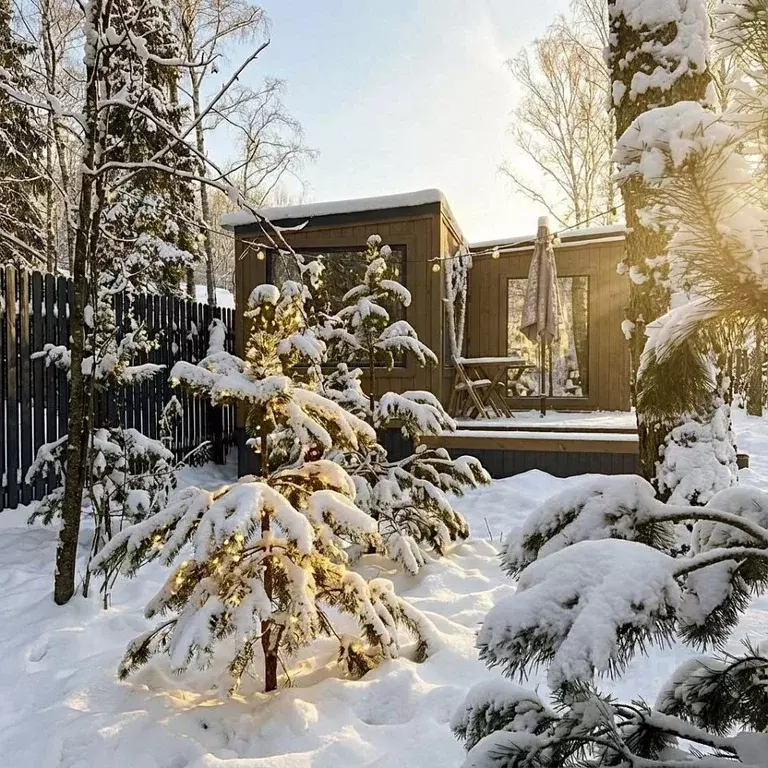Дом в Московская область, Домодедово городской округ, д. Степыгино, ... - Фото 1
