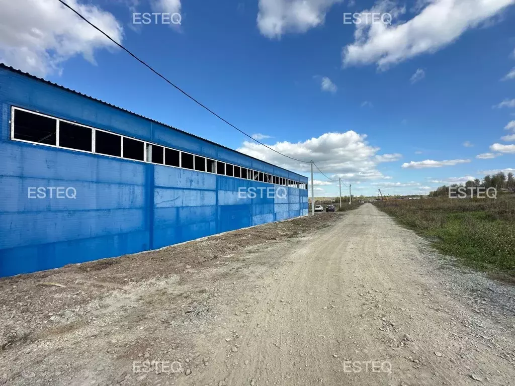 Склад в Новосибирская область, Новосибирский район, с. Раздольное ... - Фото 1