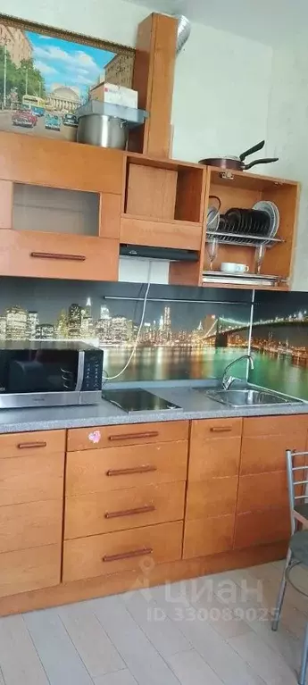Студия Москва Гостиничная ул., 4Ак8 (21.0 м) - Фото 1