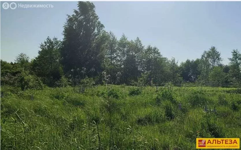 Участок в Луговое, станция Луговое Новое (8.79 м) - Фото 1