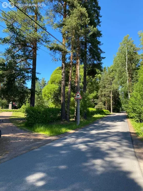 Участок в посёлок Комарово, 1-я Дачная улица, 7 (20.4 м) - Фото 2