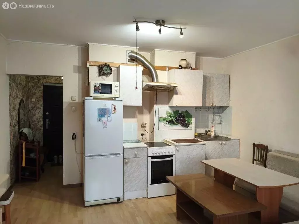 Квартира-студия: Новосибирск, улица В. Высоцкого, 41/4 (32.5 м) - Фото 1