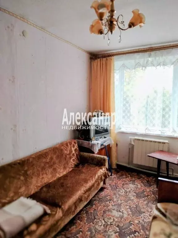 3-к кв. Ленинградская область, Выборгский район, Советское городское ... - Фото 2