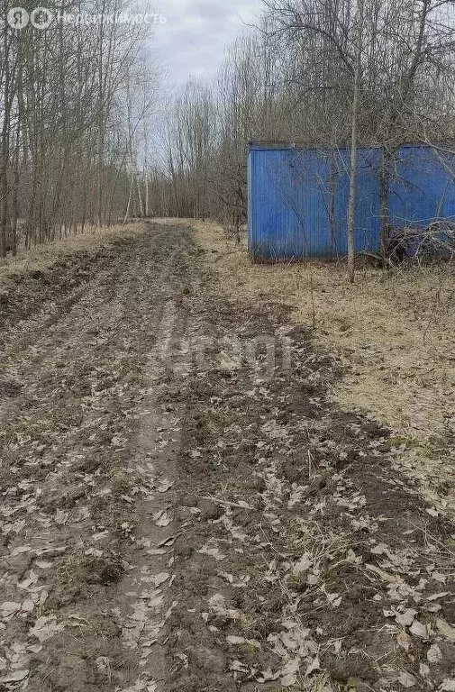 Участок в округ Муром, деревня Саксино (342 м) - Фото 1
