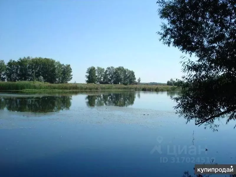 Участок в Самарская область, Ставропольский район, Нижнее Санчелеево ... - Фото 2