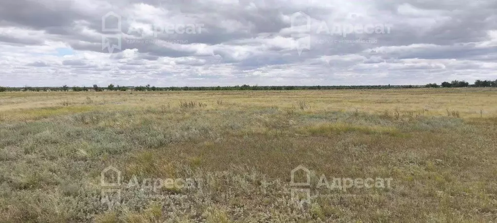 Участок в Волгоградская область, Волгоград Село Песчанка тер., ул. ... - Фото 2