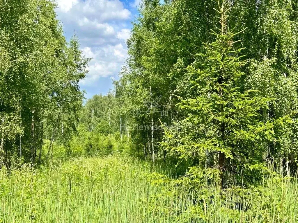 Участок в Московская область, Чехов городской округ, Мещерское Полесье ... - Фото 0