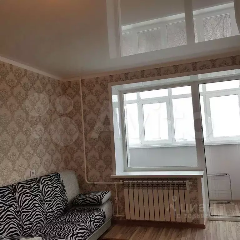 1-к кв. Курская область, Курск Институтская ул., 42А (33.0 м) - Фото 1