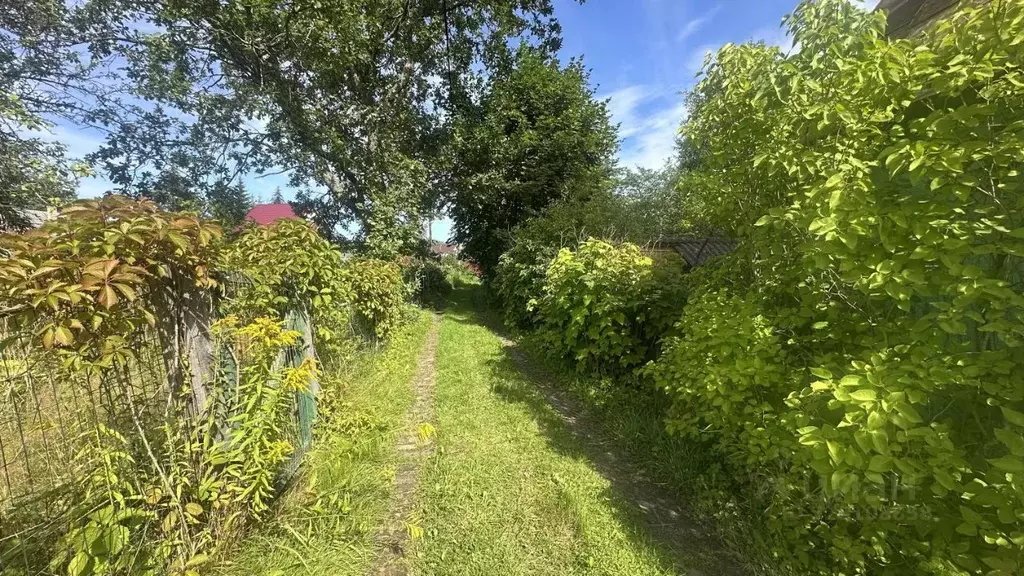 Участок в Ленинградская область, Кировское городское поселение, ... - Фото 1