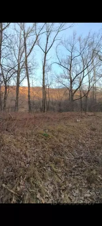 Участок в Самарская область, Самара  (7.0 сот.) - Фото 1