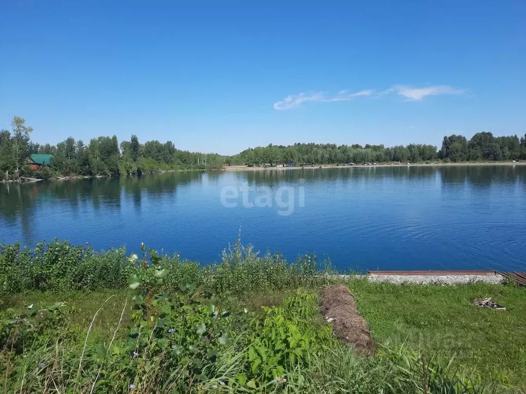 Участок в Алтайский край, Бийский район, Чуйский СНТ ул. Береговая ... - Фото 1