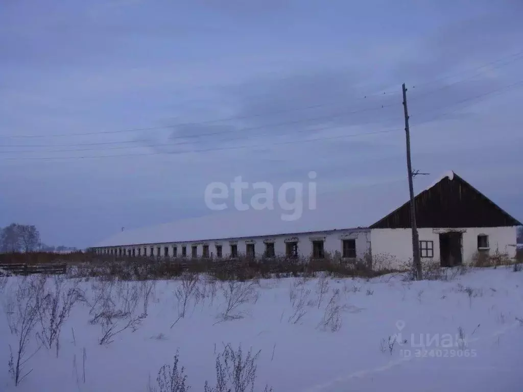 Склад в Курганская область, Шатровский муниципальный округ, д. Ударник ... - Фото 1