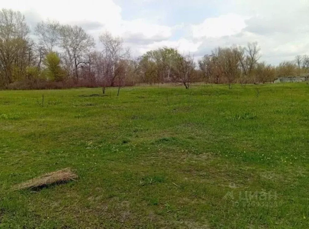 Участок в Рязанская область, Михайловский муниципальный округ, д. ... - Фото 1