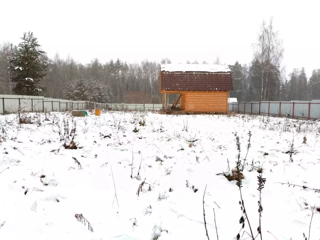 Участок в Владимирская область, Покров городской округ, д. Иваново ул. ... - Фото 2