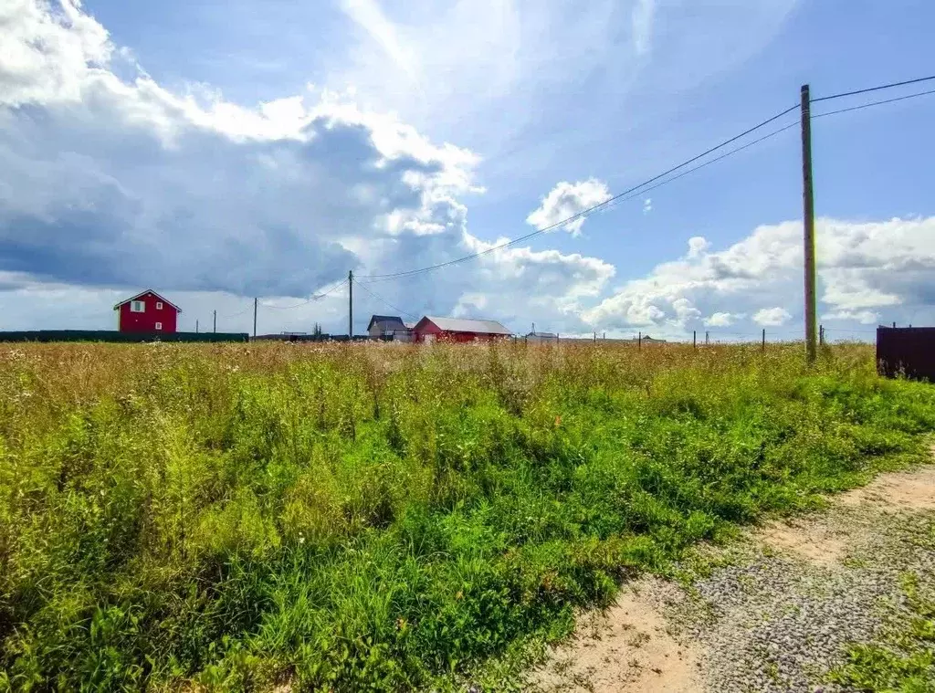 Участок в Вологодская область, Череповецкий район, д. Романово ... - Фото 1