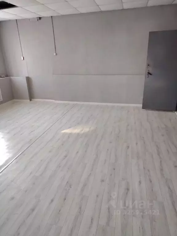 Помещение свободного назначения в Орловская область, Верховье пгт ул. ... - Фото 2