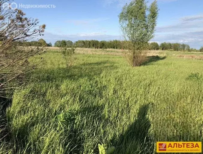 Участок в Калининградская область, Зеленоградский муниципальный округ, ... - Фото 2