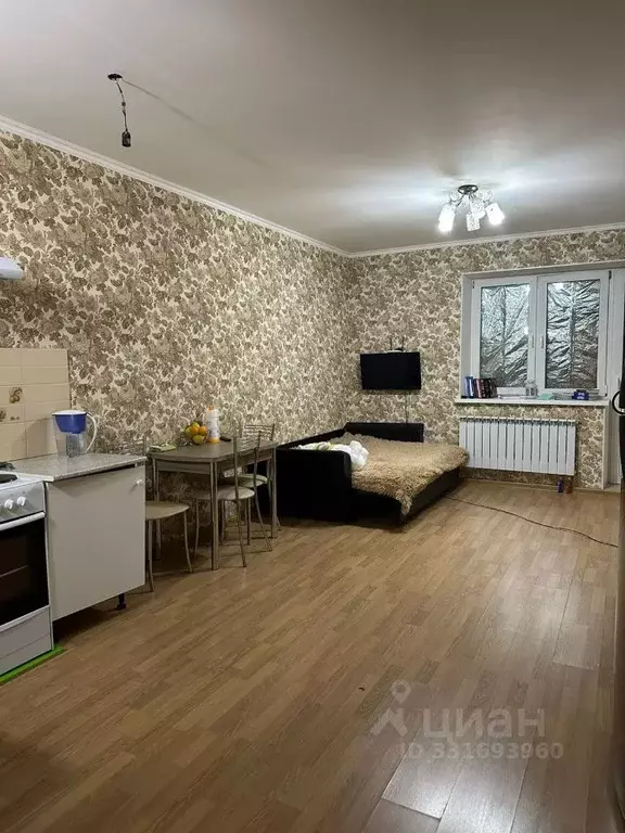 Студия Московская область, Долгопрудный Старое Дмитровское ш., 17 ... - Фото 1