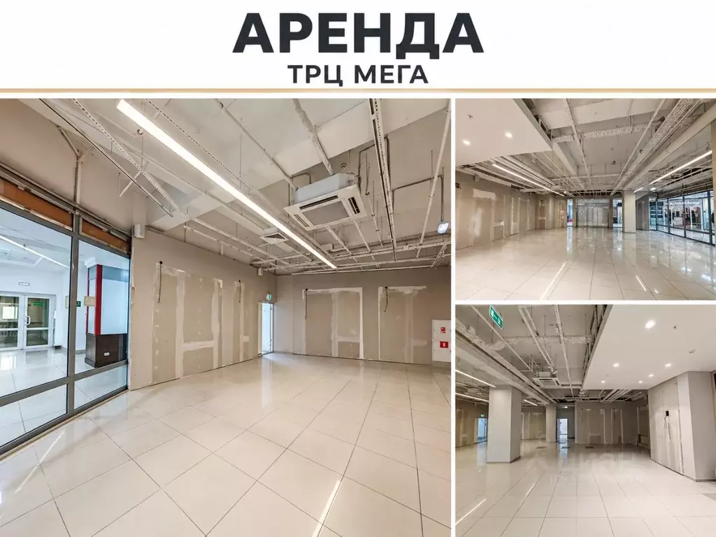Торговая площадь в Амурская область, Благовещенск ул. 50 лет Октября, ... - Фото 1