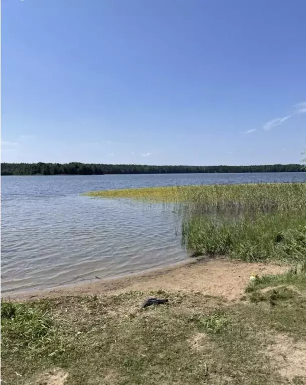 Участок в Ленинградская область, Выборгский район, Рощинское городское ... - Фото 2