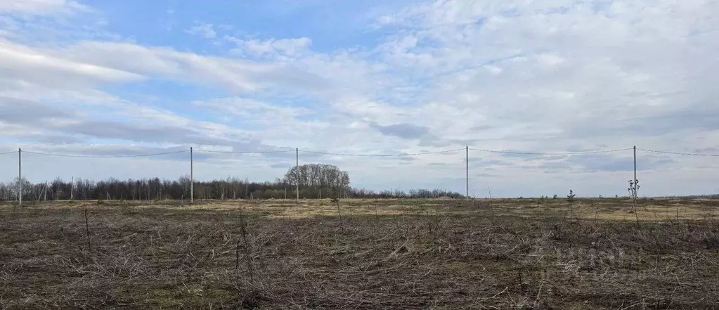 Участок в Татарстан, Лаишевский район, с. Среднее Девятово, ... - Фото 1