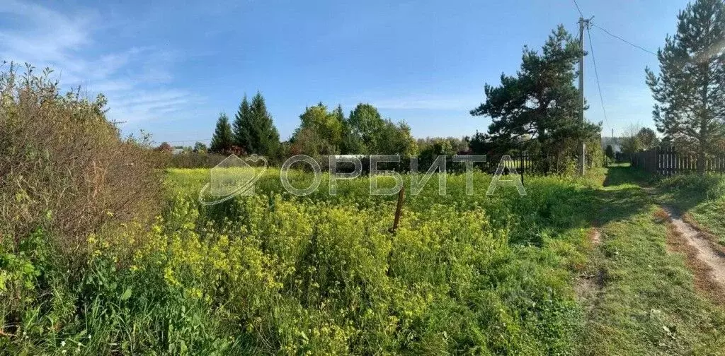 Участок в Тюменская область, Тюменский район, Горошинка-3 СНТ ул. ... - Фото 0