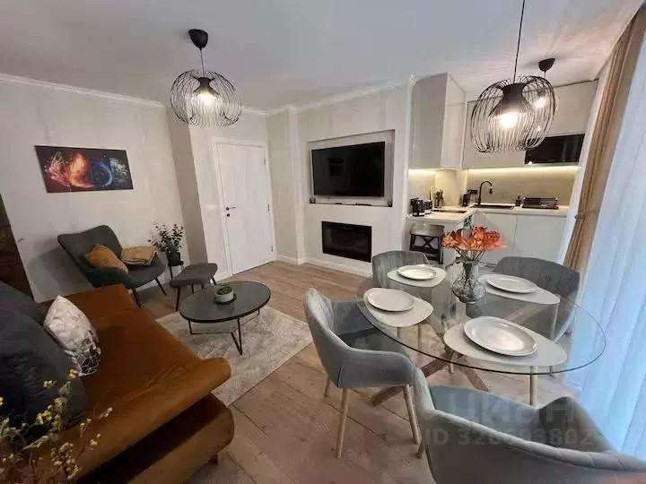 2-к кв. Краснодарский край, Сочи ул. Кирова, 28А (45.0 м) - Фото 2