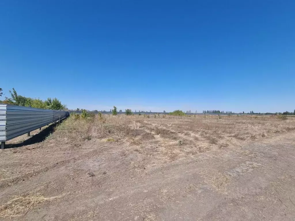 Участок в Ростовская область, Семикаракорский район, Кочетовская ст-ца ... - Фото 1