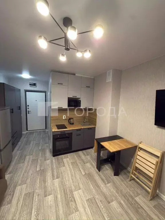 Студия Новосибирская область, Новосибирский район, Станционный ... - Фото 2