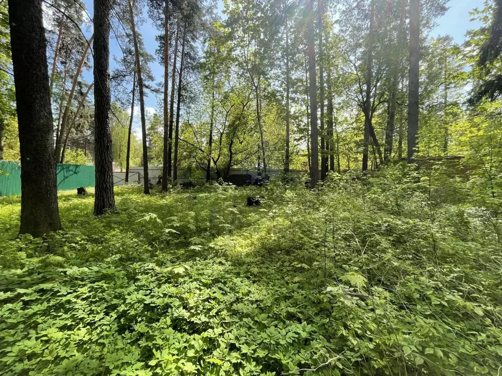 Участок в Московская область, Раменский городской округ, Удельная дп  ... - Фото 1