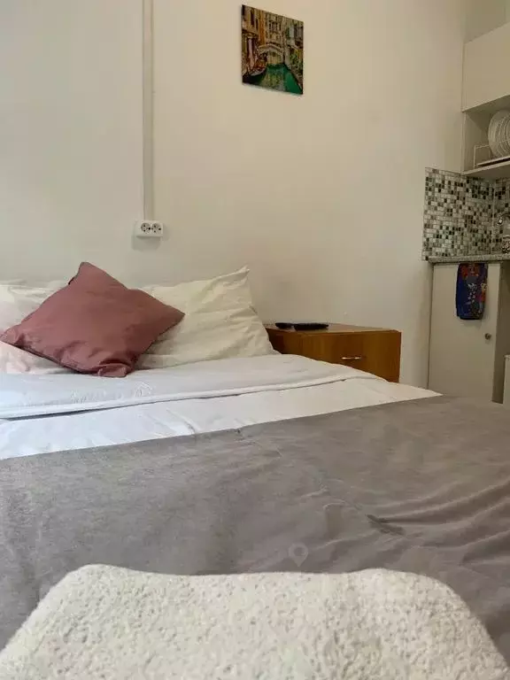 Студия Архангельская область, Архангельск ул. Попова, 21 (18.0 м) - Фото 2