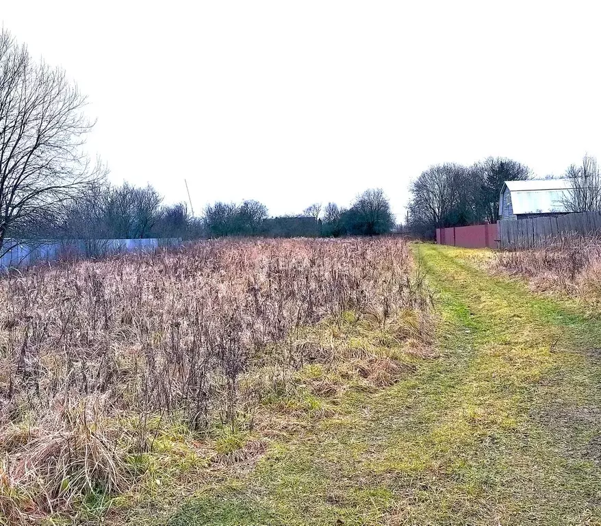 Участок в Калужская область, Жуковский муниципальный округ, Верховье ... - Фото 2