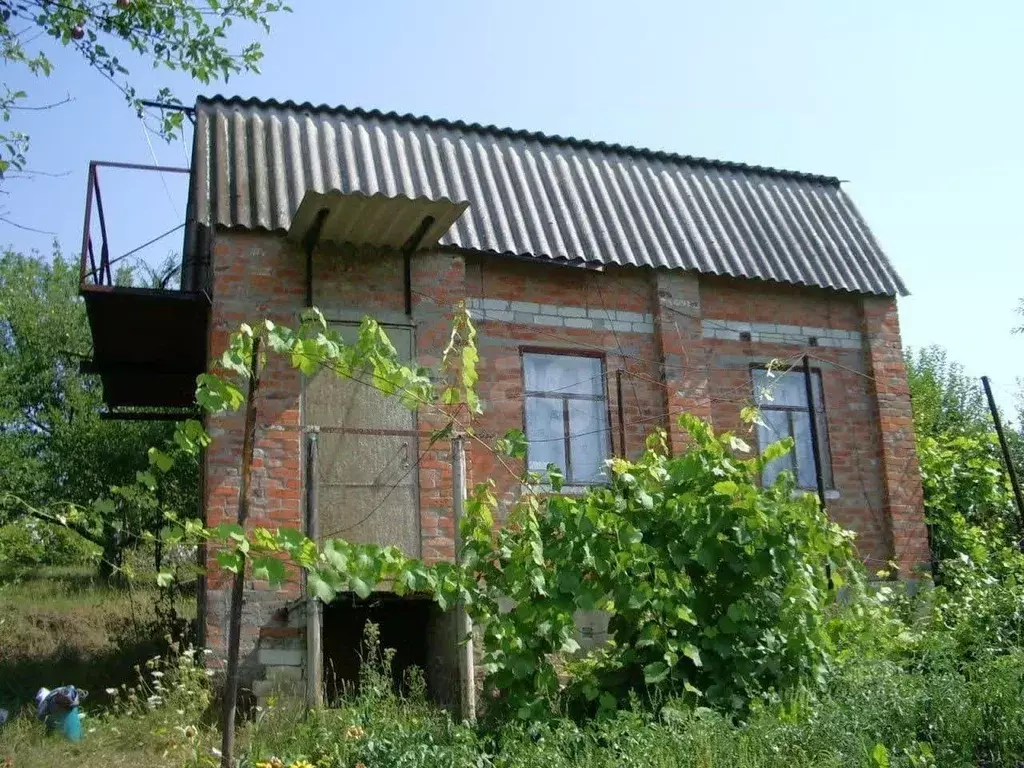 Дом в Белгородская область, Белгородский район, Никольское с/пос, ... - Фото 0