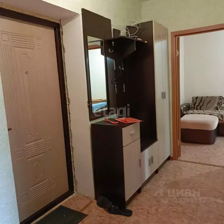 2-к кв. Нижегородская область, Выкса ул. Слепнева, 13к2 (42.2 м) - Фото 2