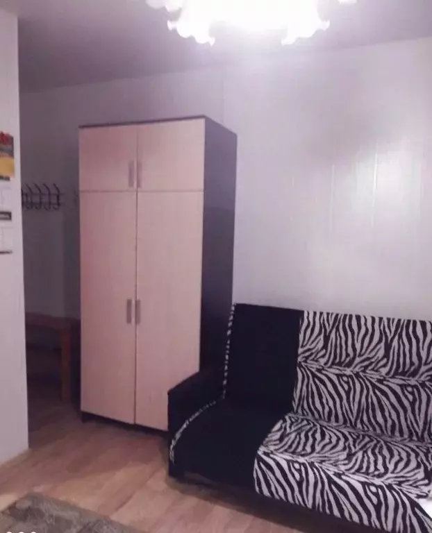 Студия Московская область, Раменское ул. Новостройка, 24 (16.0 м) - Фото 2