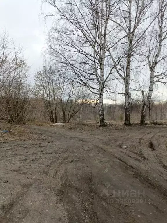 Участок в Нижегородская область, Нижний Новгород пос. Гнилицы, ул. ... - Фото 1
