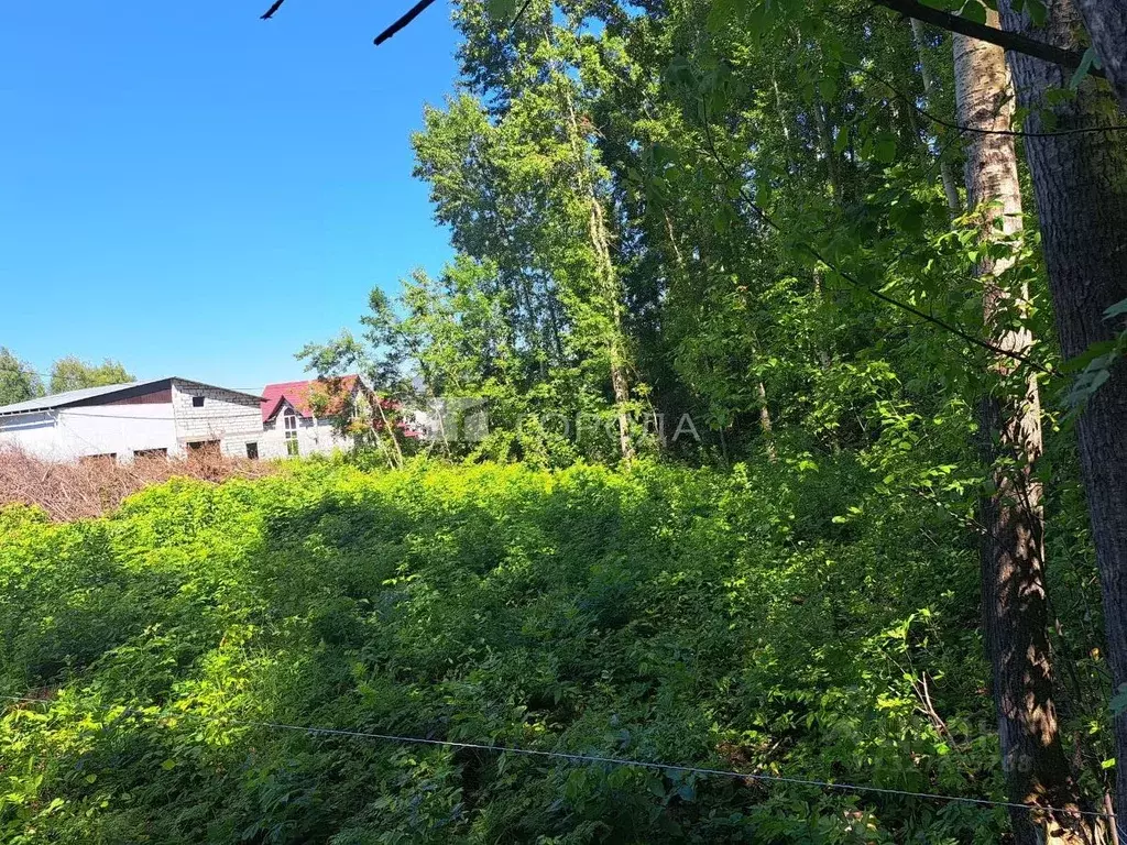 Участок в Новосибирская область, Новосибирск ул. Состязания (8.0 сот.) - Фото 2