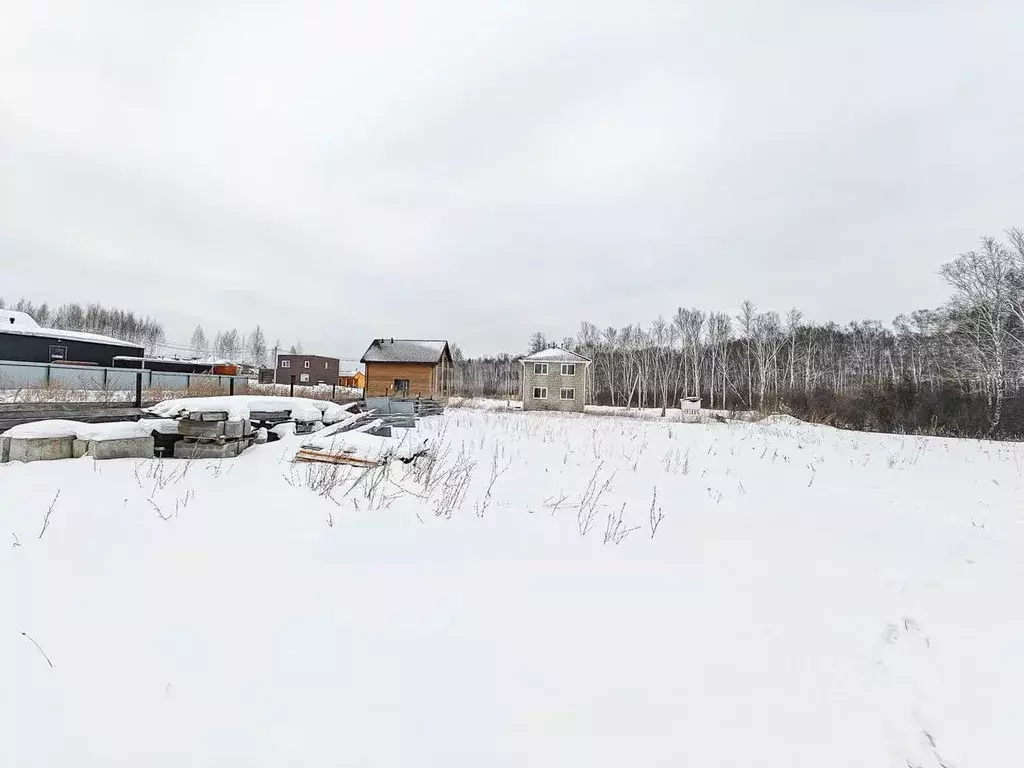 Участок в Новосибирская область, Новосибирский район, Каменский ... - Фото 0