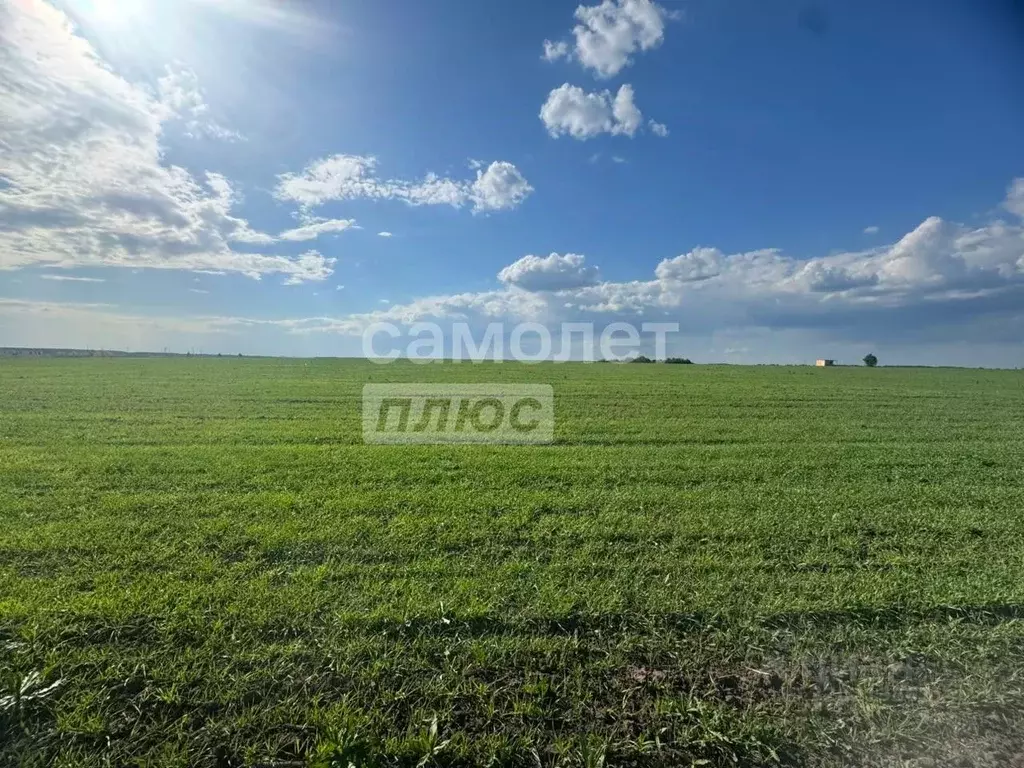 Участок в Курская область, Курский район, Клюквинский сельсовет, д. ... - Фото 0