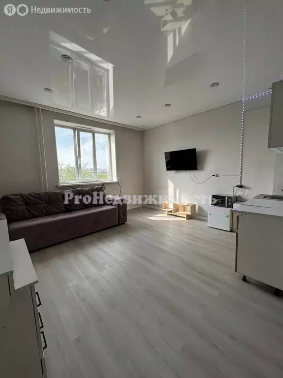 Квартира-студия: Кызыл, улица Каа-Хем, 90Б (24.4 м) - Фото 1