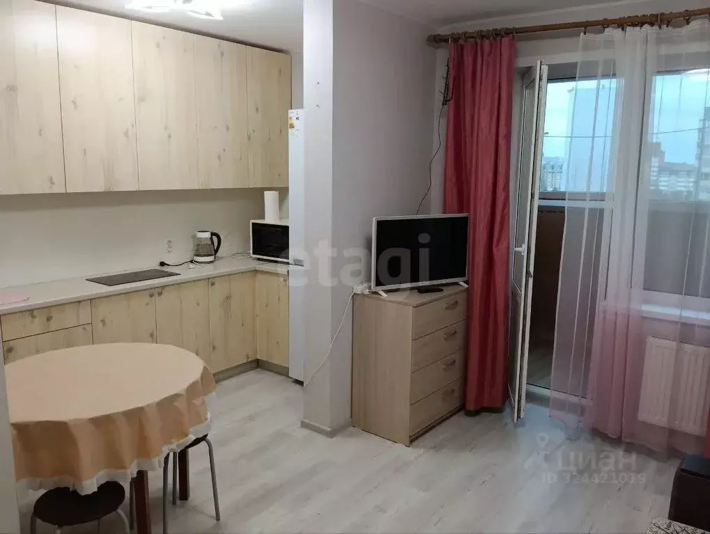 Студия Вологодская область, Череповец ул. Наседкина, 27А (23.9 м) - Фото 1