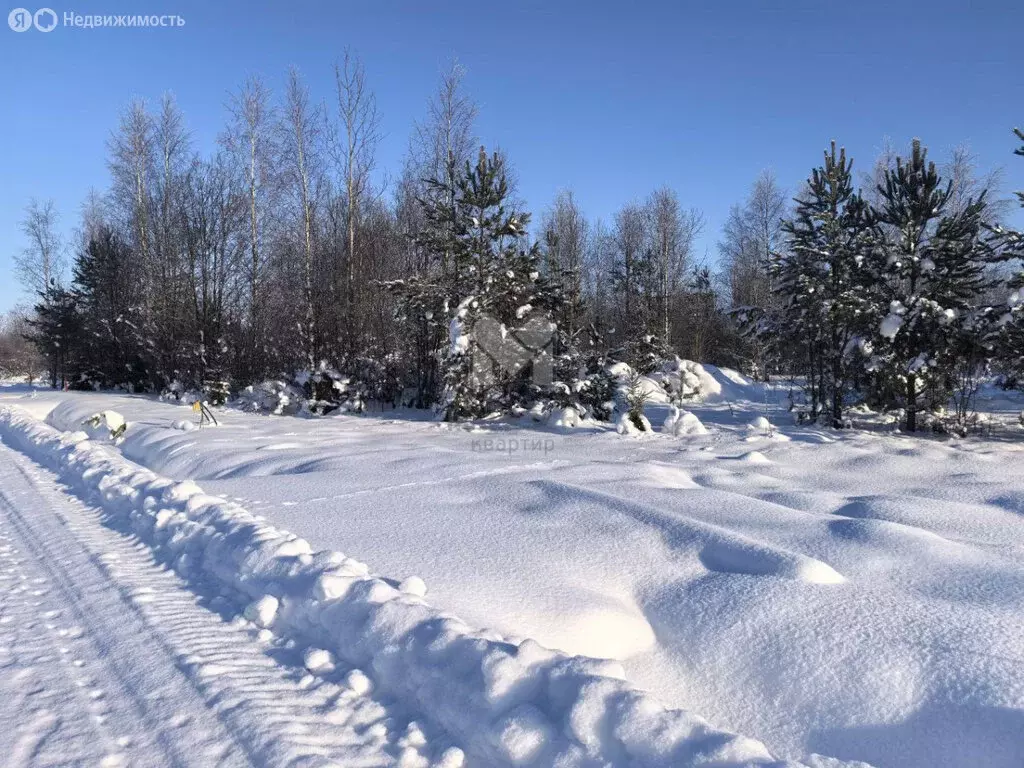 Участок в Всеволожск, Всеволожский проспект (7.05 м) - Фото 1