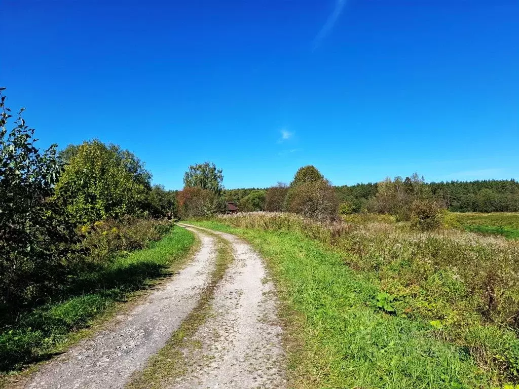 Участок в Владимирская область, Киржачский муниципальный округ, пос. ... - Фото 2