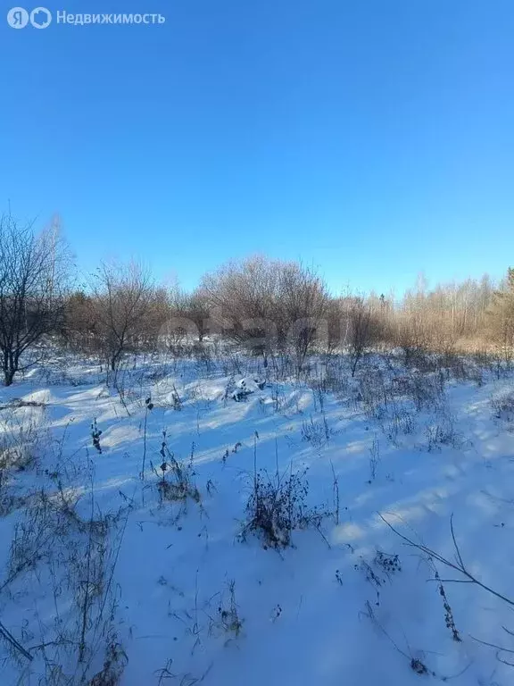 Участок в Амурская область, Благовещенск (6 м) - Фото 1