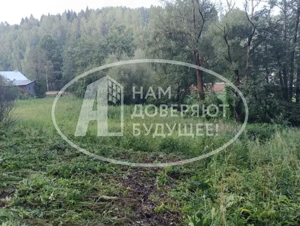 Участок в Пермский край, Чайковский городской округ, с. Ольховка ул. ... - Фото 2