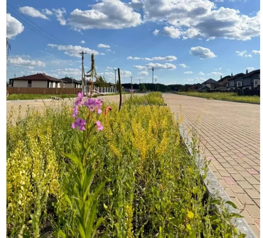 Участок в Челябинская область, Сосновский район, с. Кременкуль  (8.0 ... - Фото 1